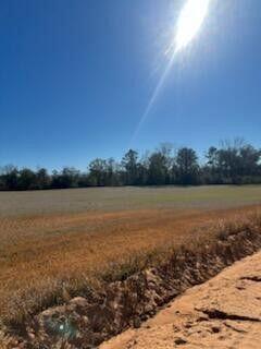 5123 Elmore Road Property Photo 3