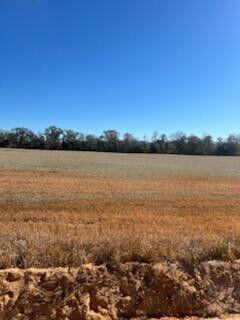 5123 Elmore Road Property Photo 4