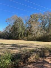 5123 Elmore Road Property Photo 5