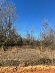5123 Elmore Road Property Photo 6