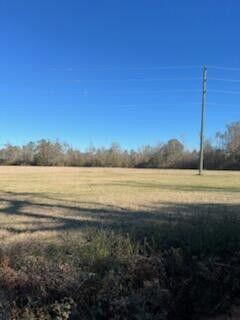 5123 Elmore Road Property Photo 11