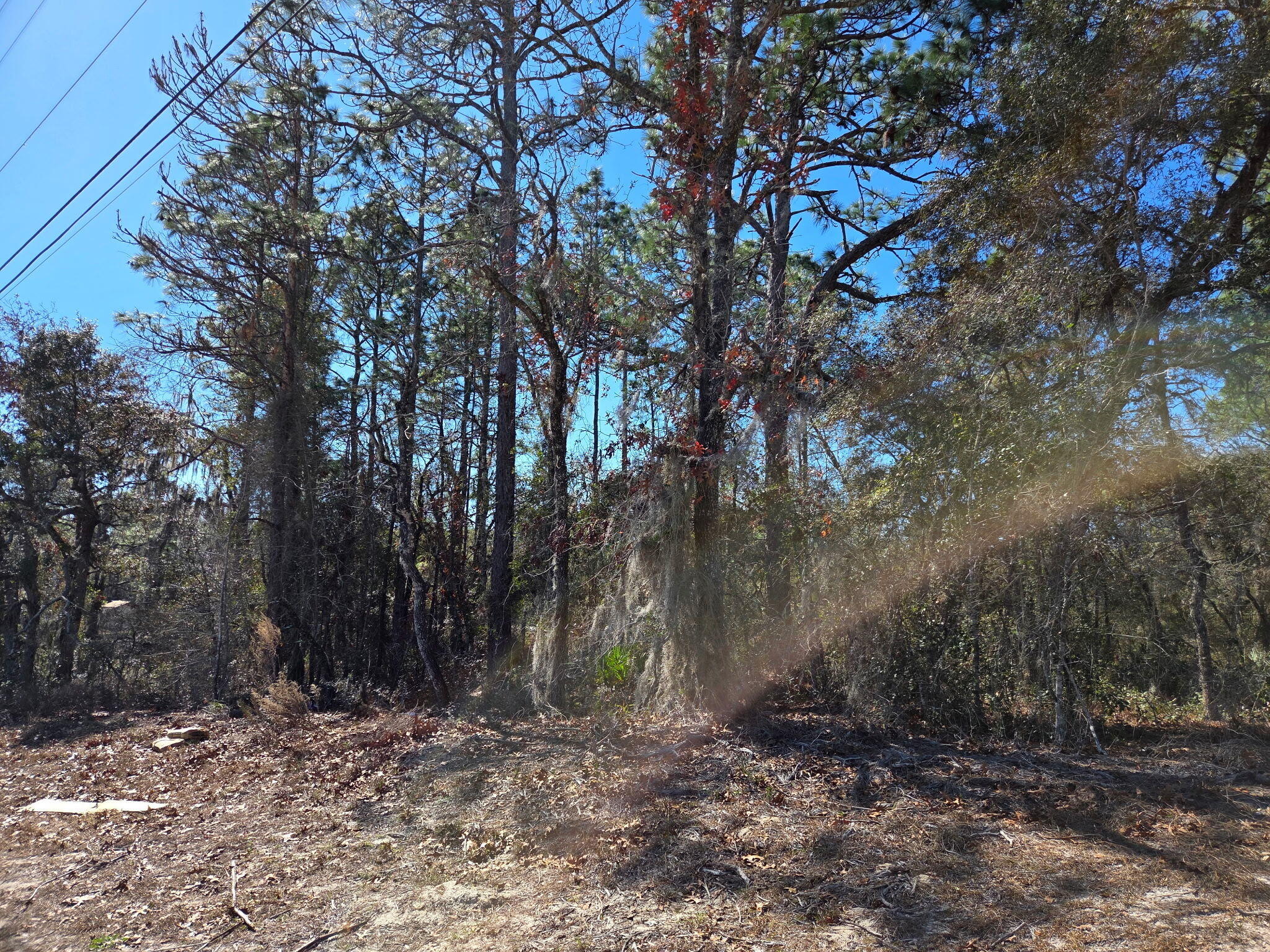 8 Marion Oaks Lane Property Photo 1