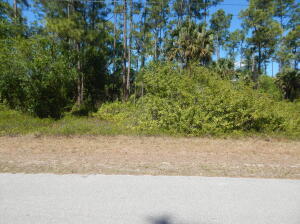 1047 Asther Street E Property Photo 1