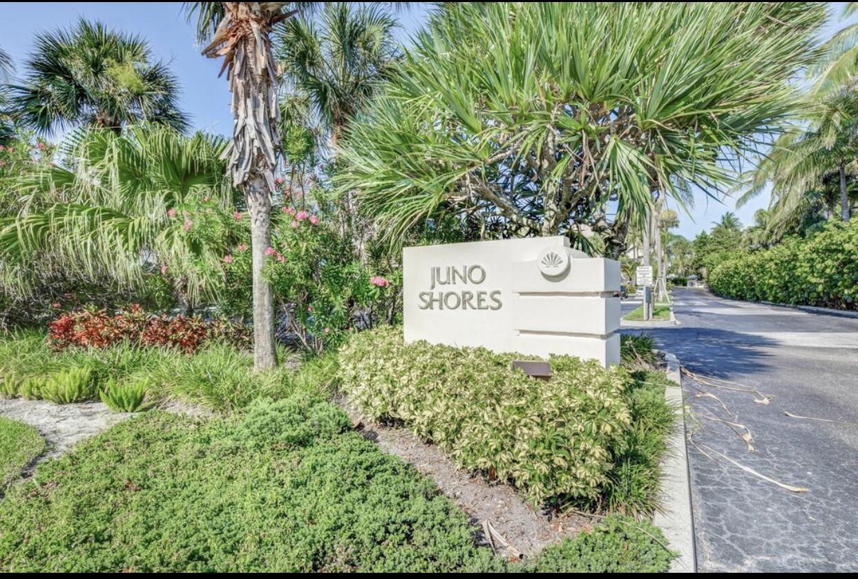 420 Celestial Way 202 Property Photo 4