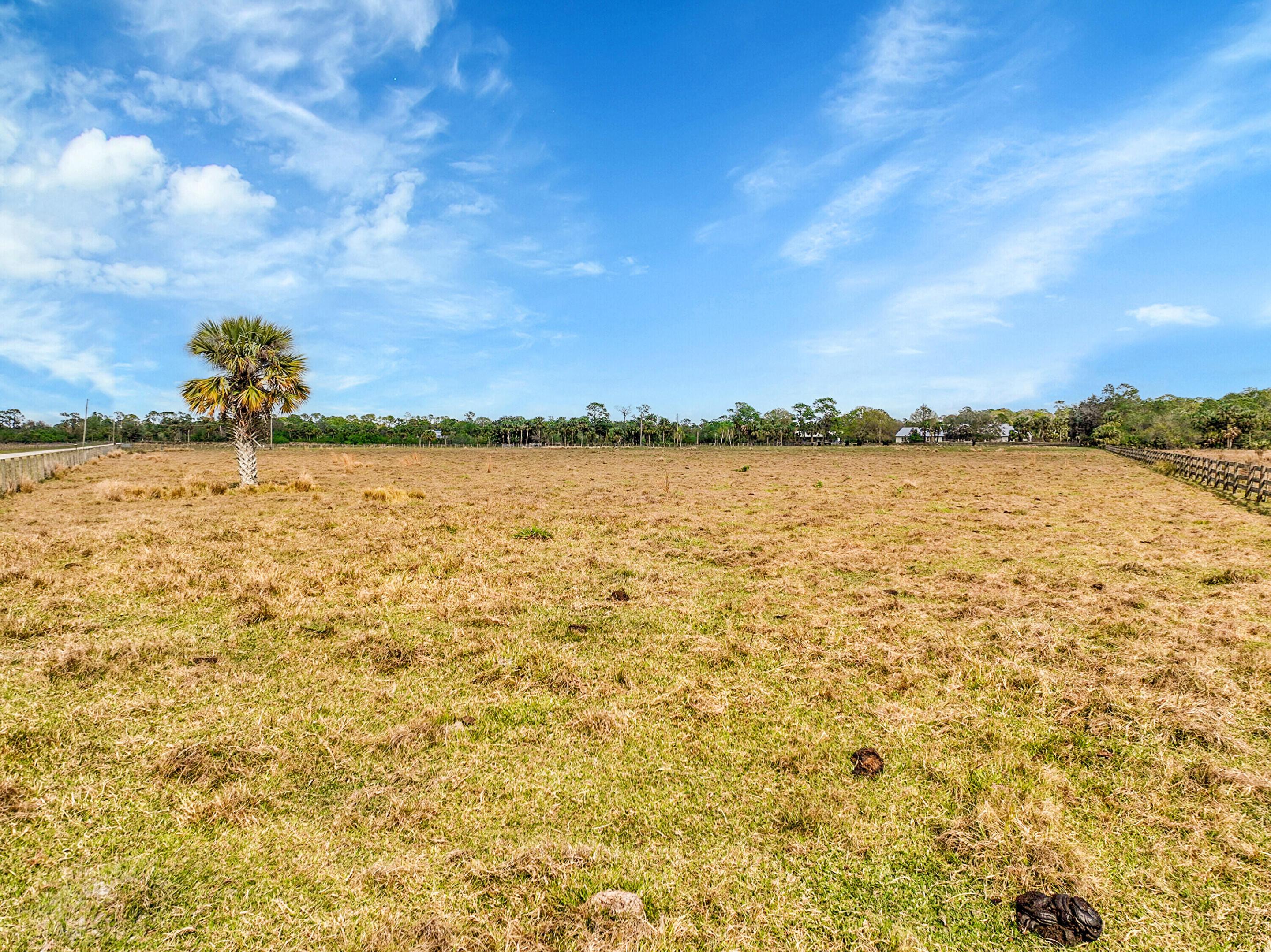 3901 Wild Turkey Trail Trail Property Photo 36