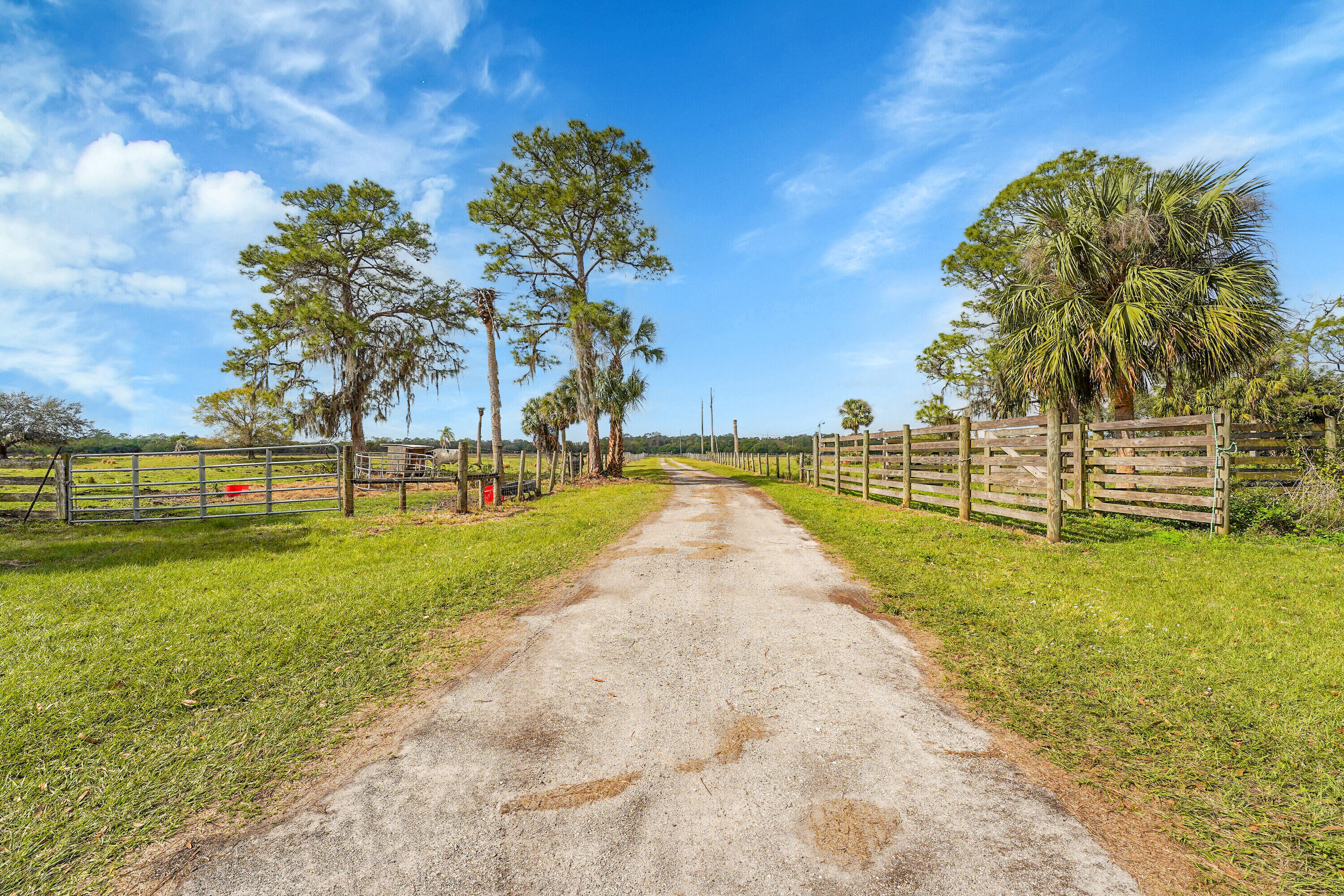 3901 Wild Turkey Trail Trail Property Photo 39