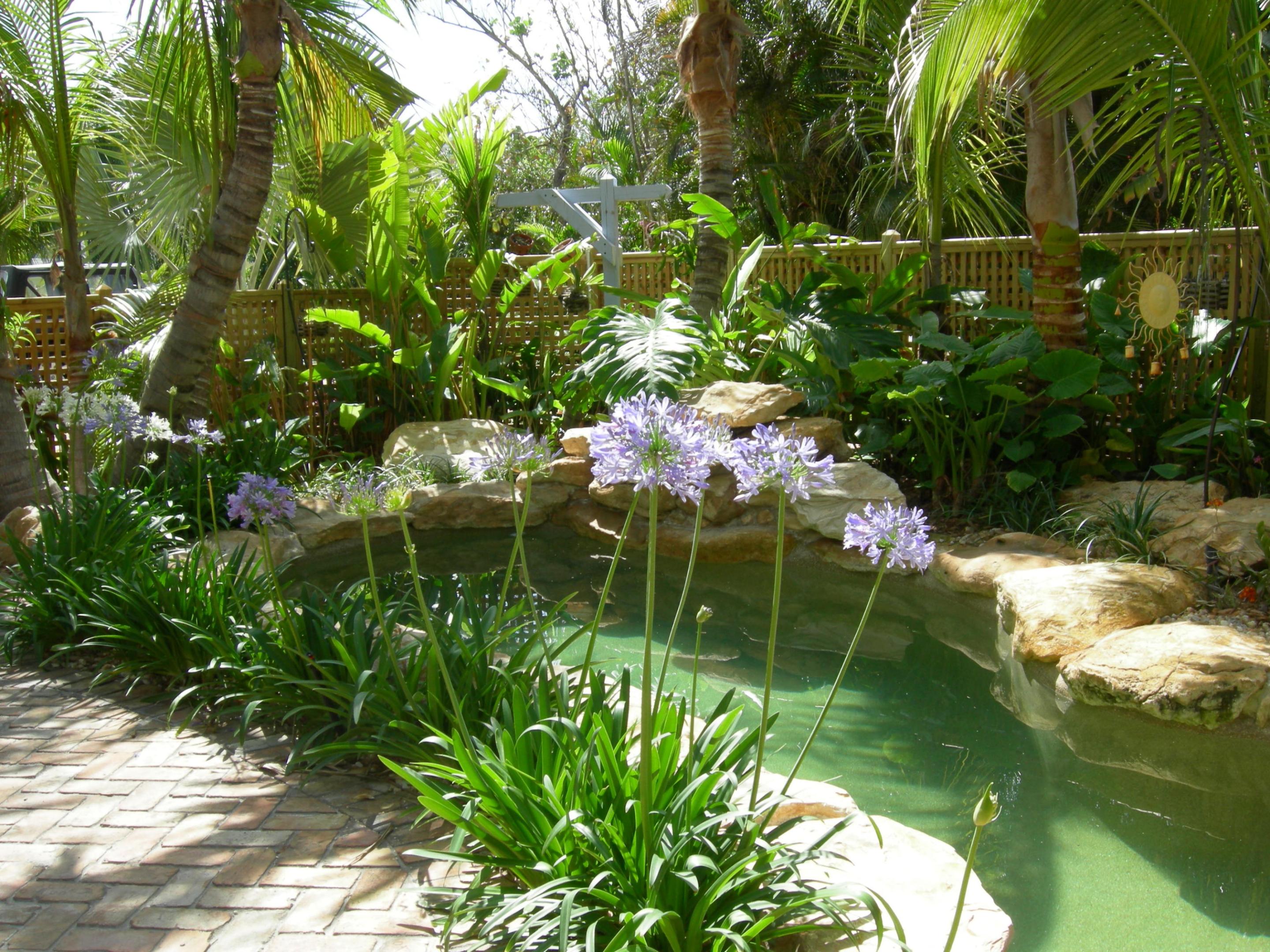 226 Ne 1st Avenue Coco Palm Ste Property Photo 41