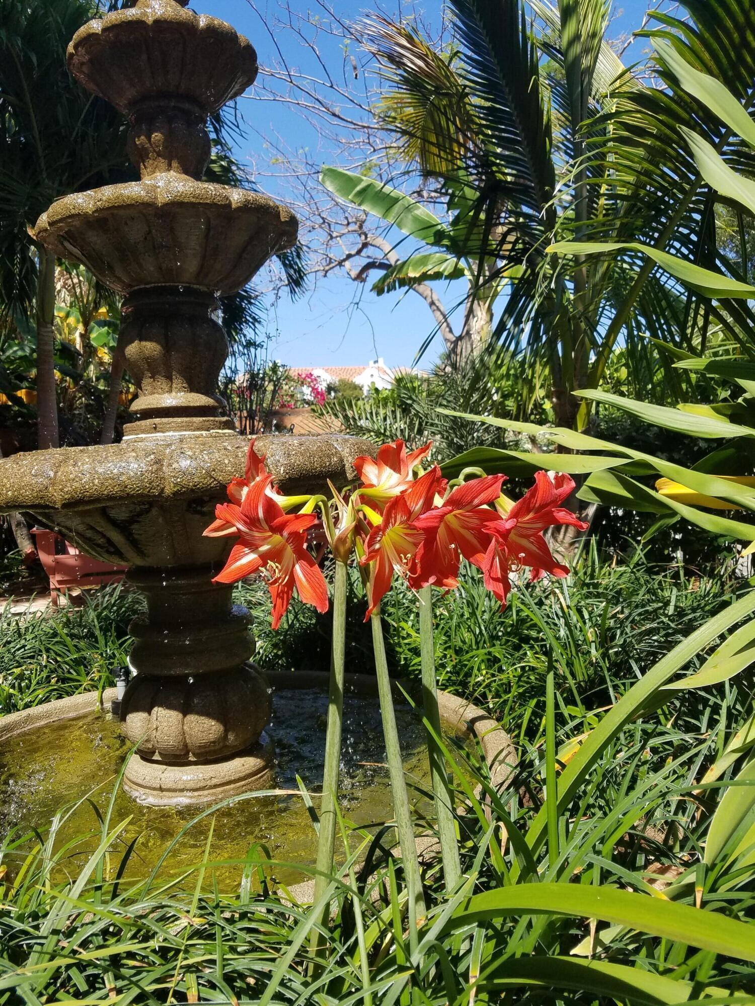 226 Ne 1st Avenue Coco Palm Ste Property Photo 63