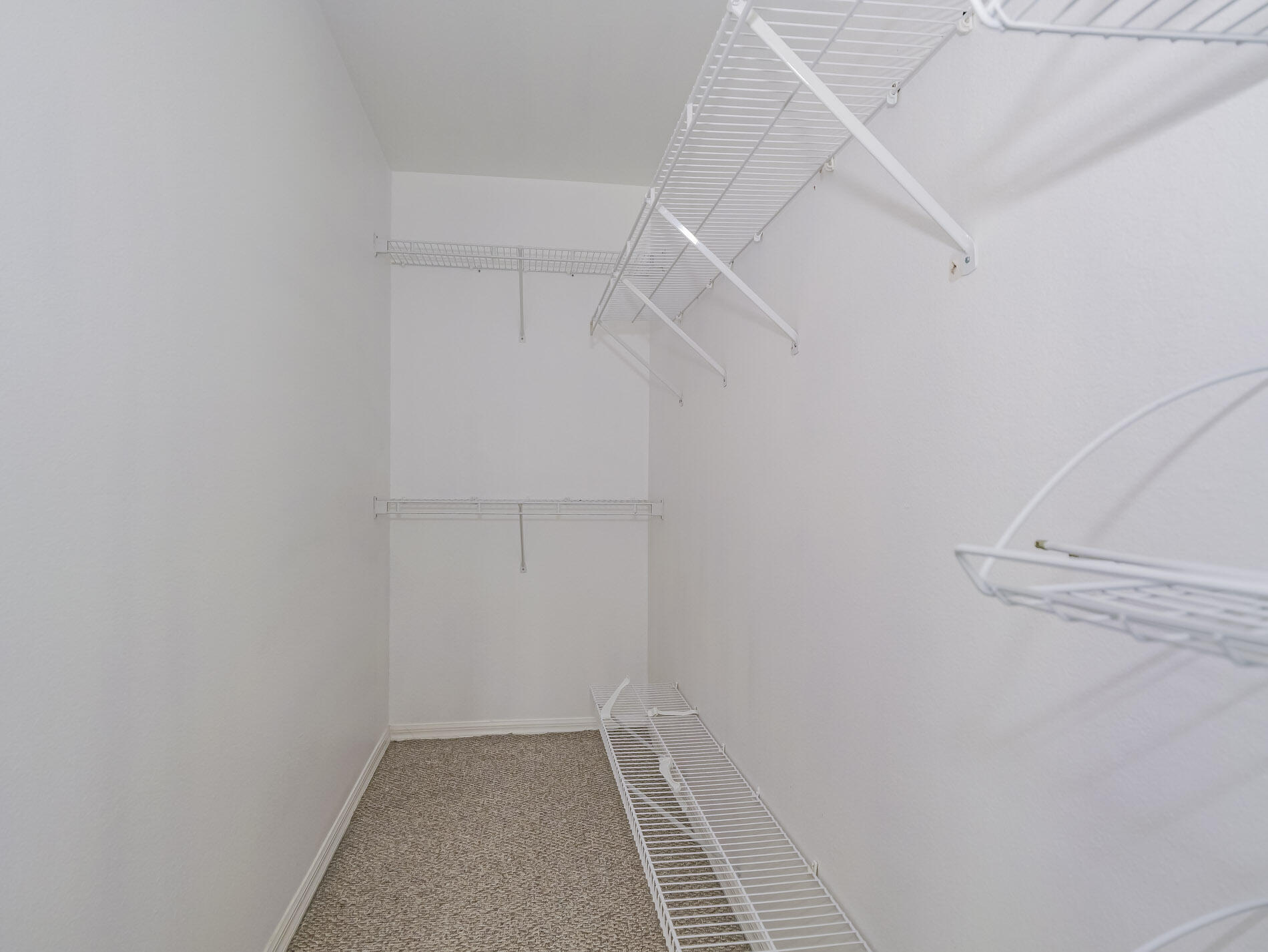 3816 Sunbeam Court Property Photo 21