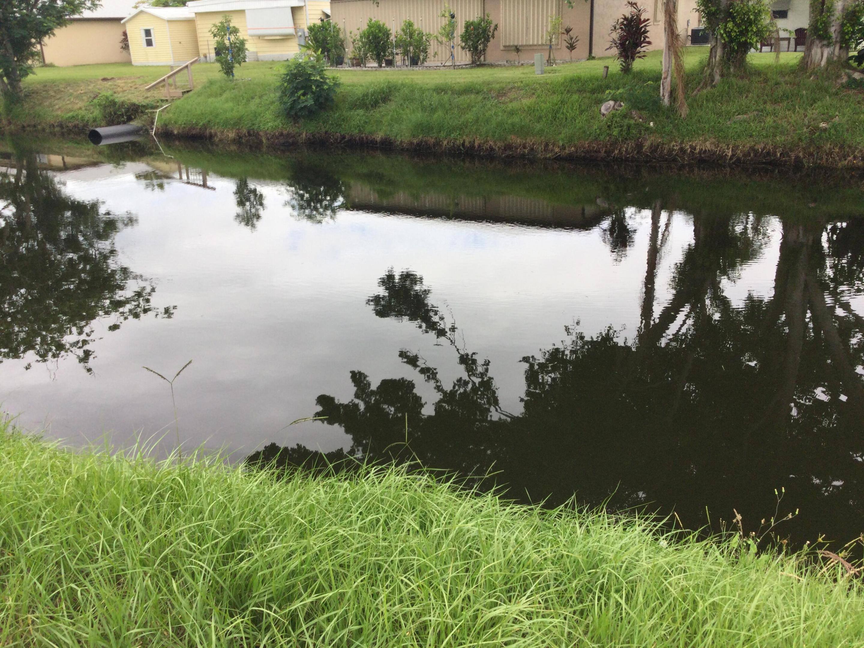 48 Del Prado Street Property Photo 29