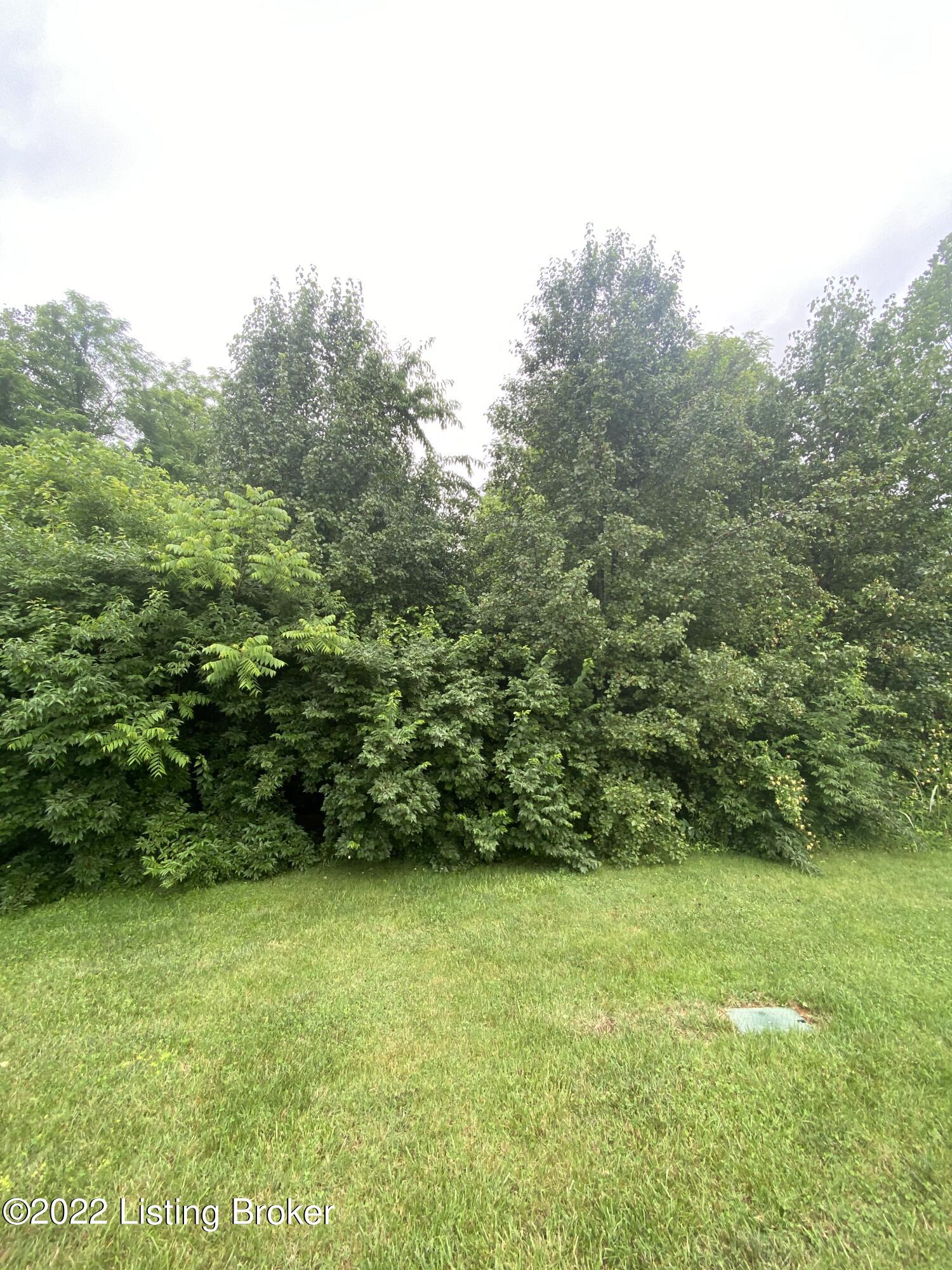 6205 Pebble Ct Property Photo 1