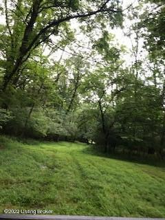 12880 S Pope Lick Rd Property Photo 8