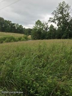 12880 S Pope Lick Rd Property Photo 10