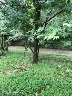 12880 S Pope Lick Rd Property Photo 14