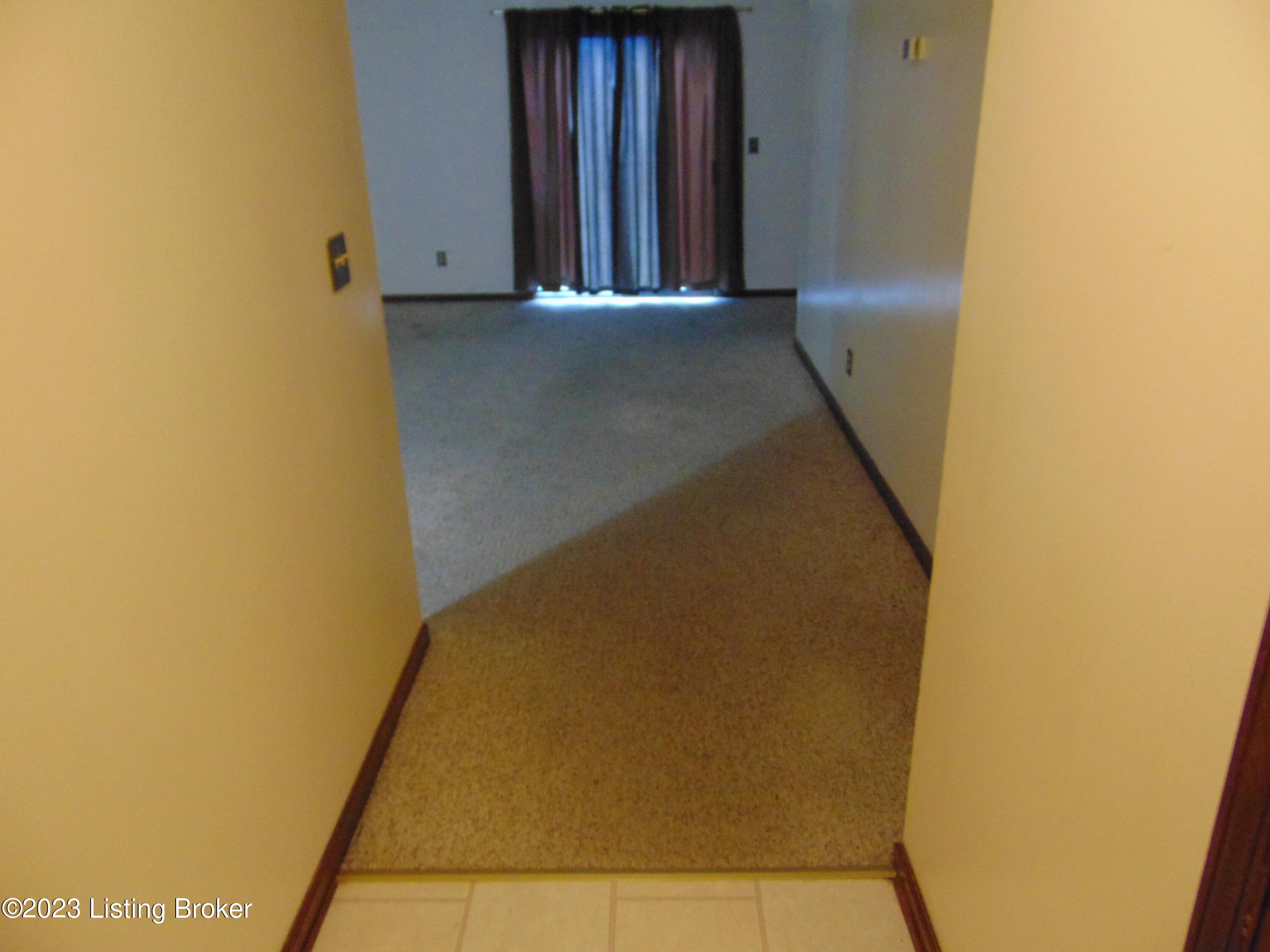 206 Eagle Pass Property Photo 13