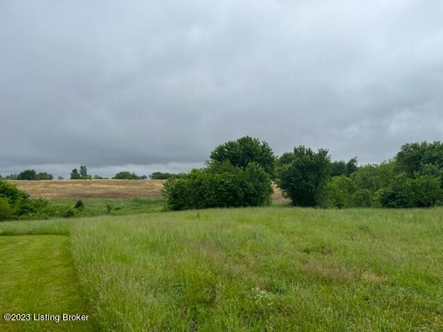 971 Mulberry Pike Property Photo 2