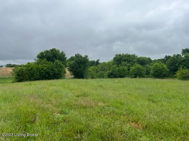 971 Mulberry Pike Property Photo 3
