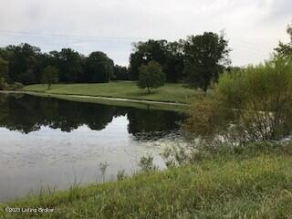 12880 S Pope Lick Rd Property Photo 10