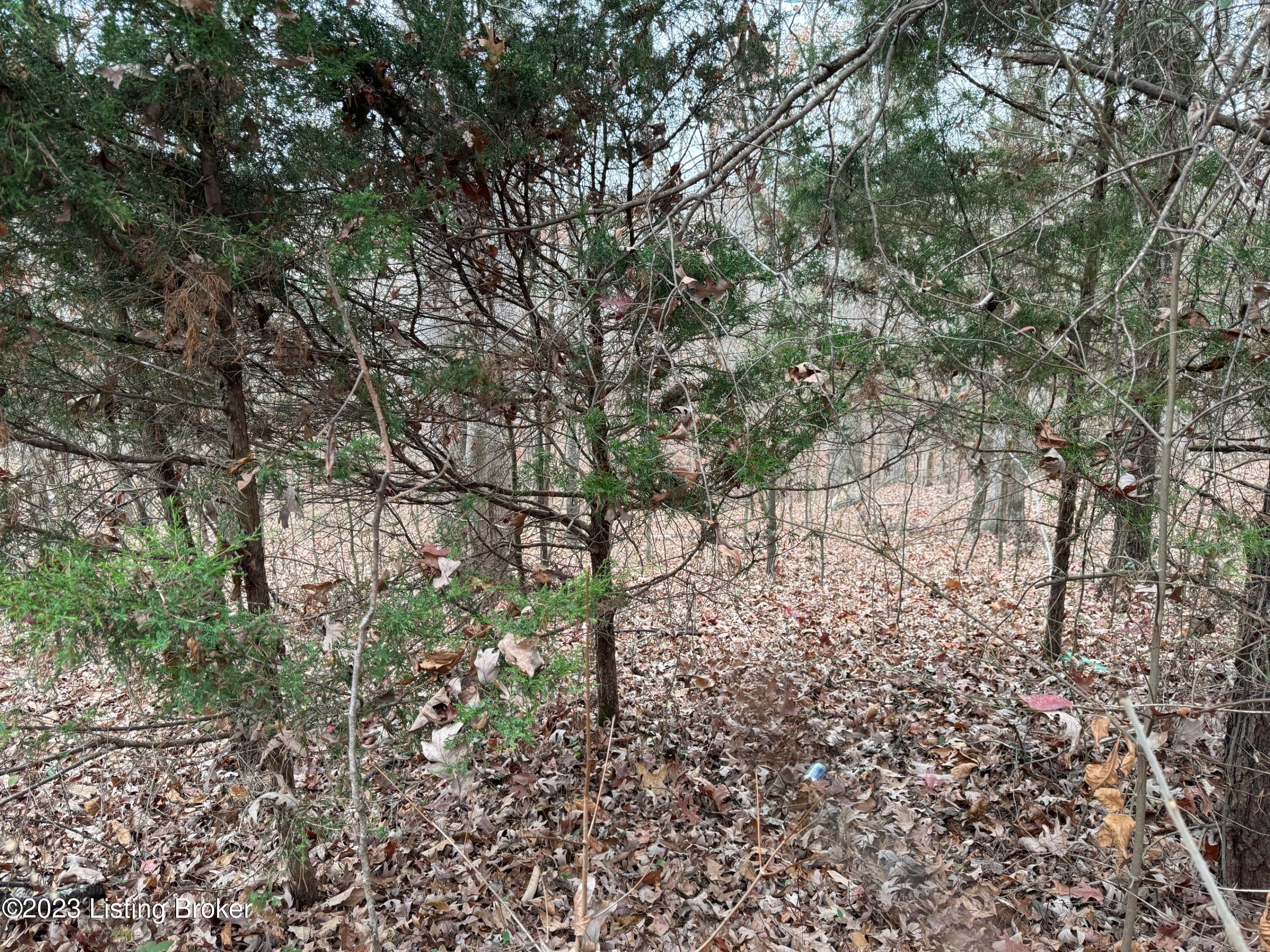 0 Sleepy Hollow Cir Property Photo 1
