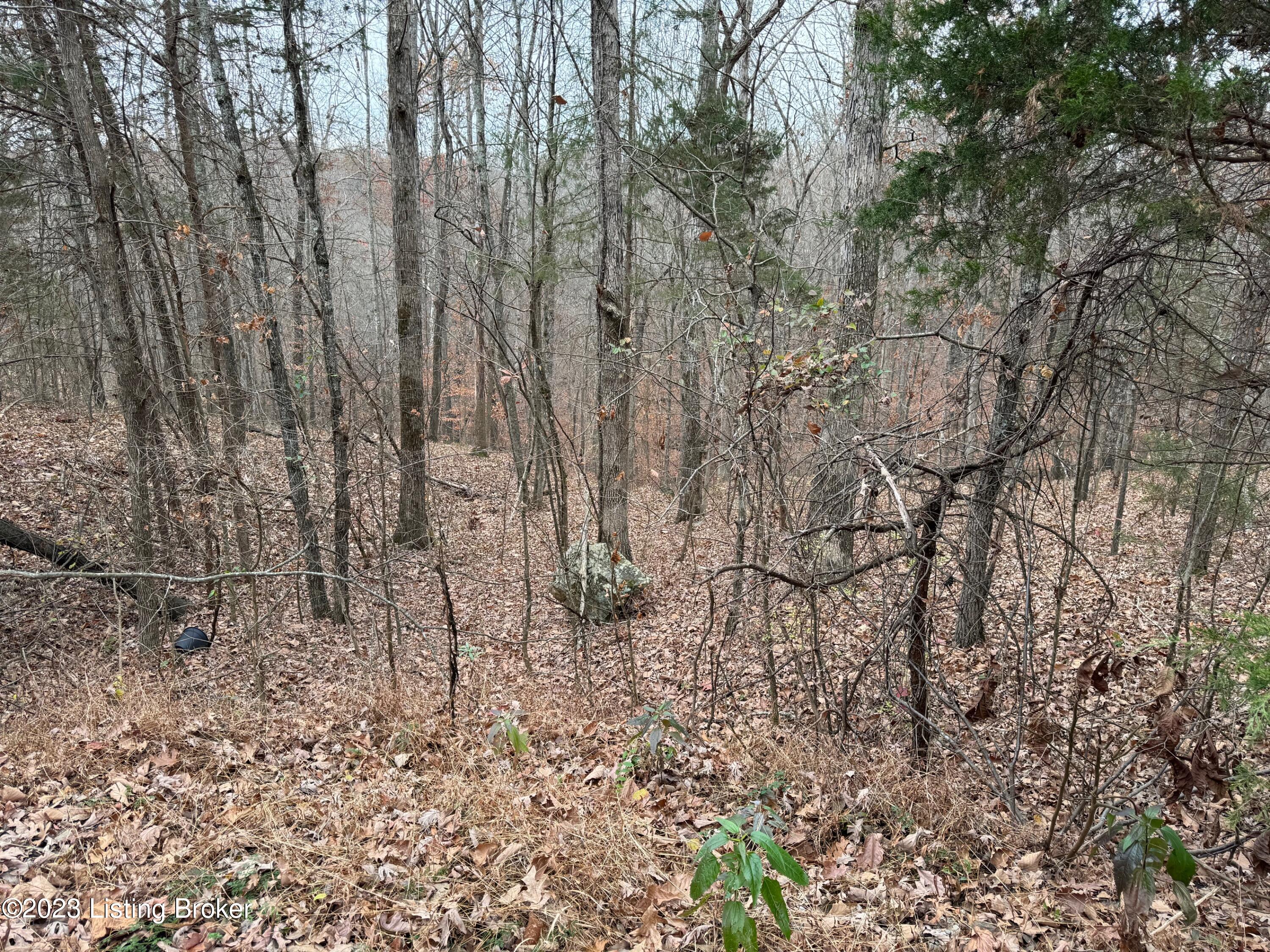 0 Sleepy Hollow Cir Property Photo 3