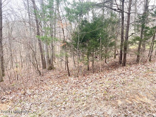 0 Sleepy Hollow Cir Property Photo 4