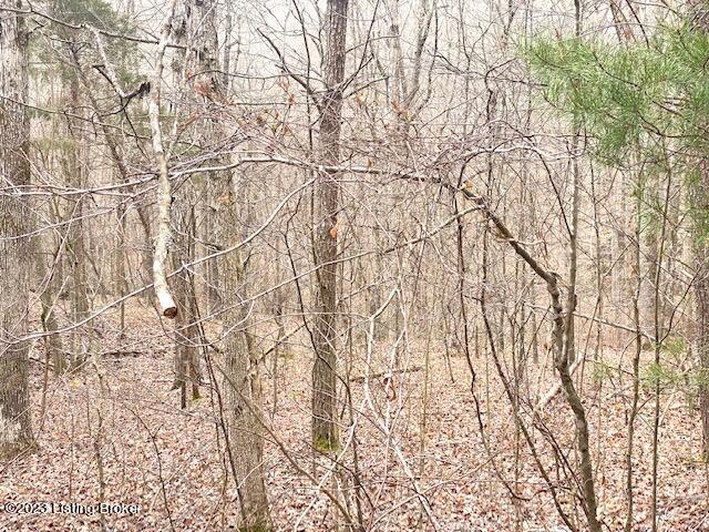0 Sleepy Hollow Cir Property Photo 5