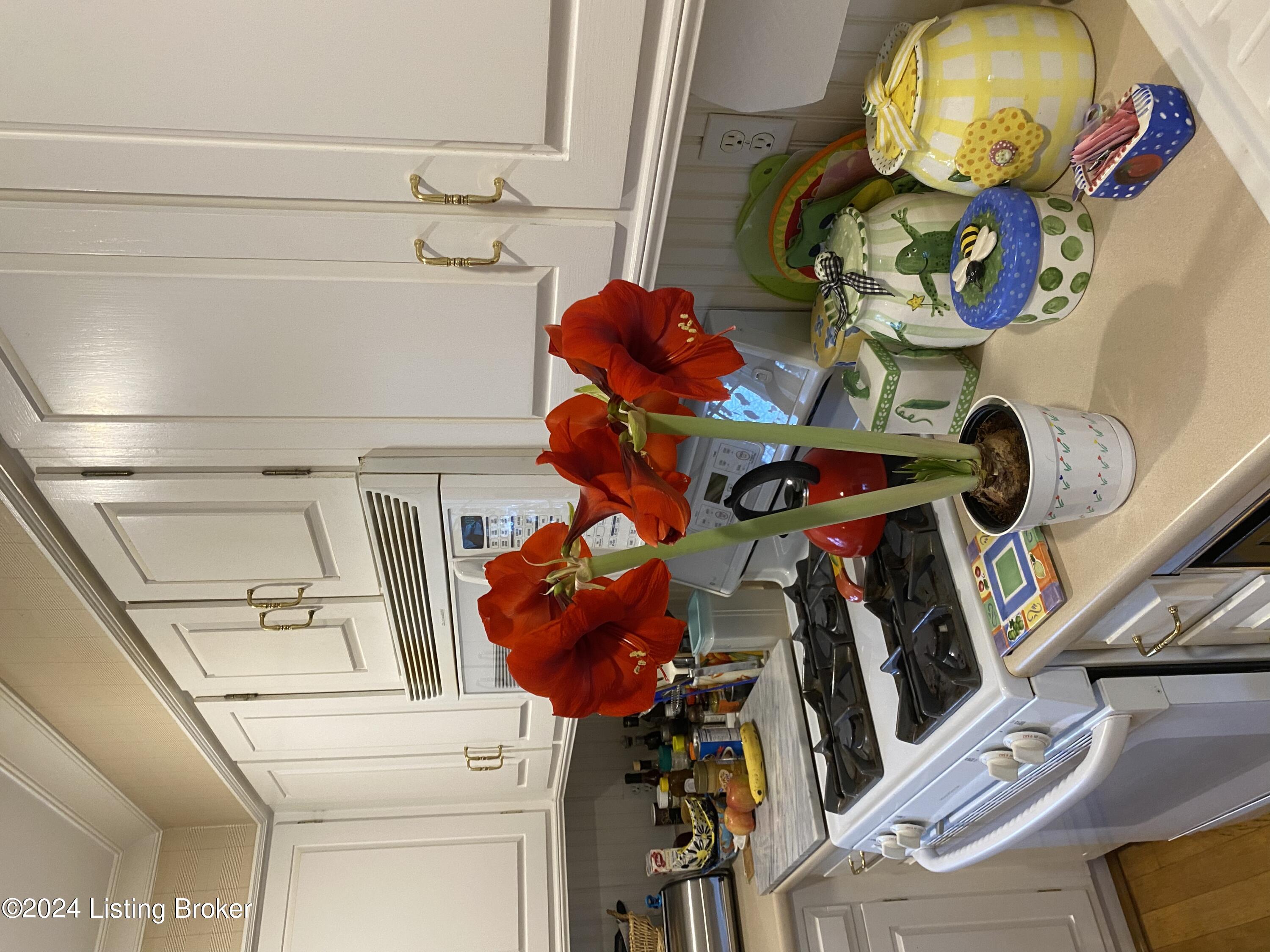 14119 Harbour Pl Property Photo 13