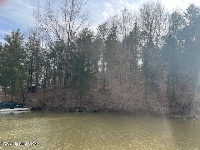 42 Trailwoods Lake Rd Property Photo 1