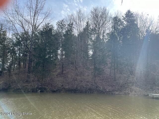 42 Trailwoods Lake Rd Property Photo 2