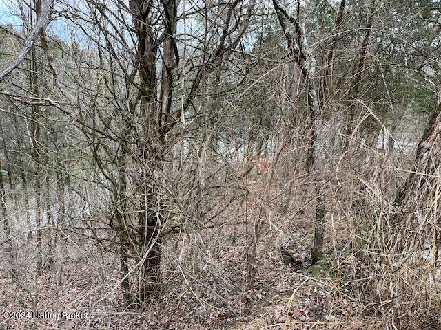 42 Trailwoods Lake Rd Property Photo 3