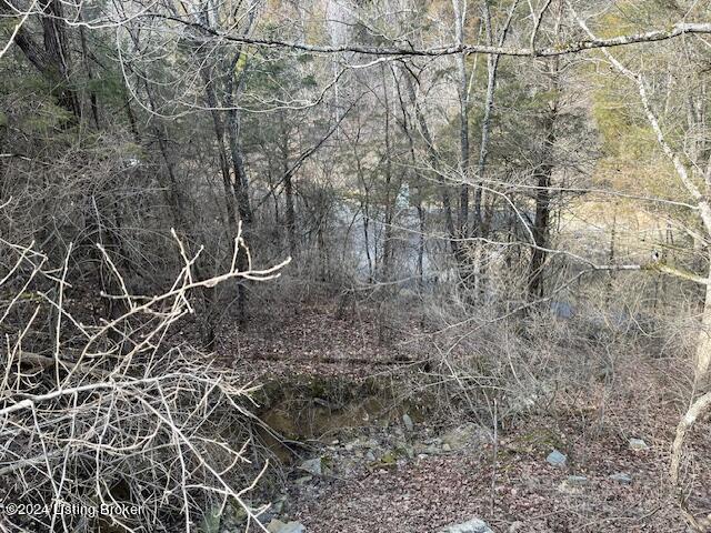 42 Trailwoods Lake Rd Property Photo 4
