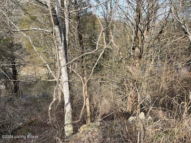 42 Trailwoods Lake Rd Property Photo 5