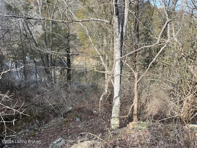42 Trailwoods Lake Rd Property Photo 6