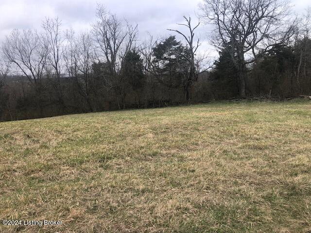 0 Carrithers Ln Property Photo 2