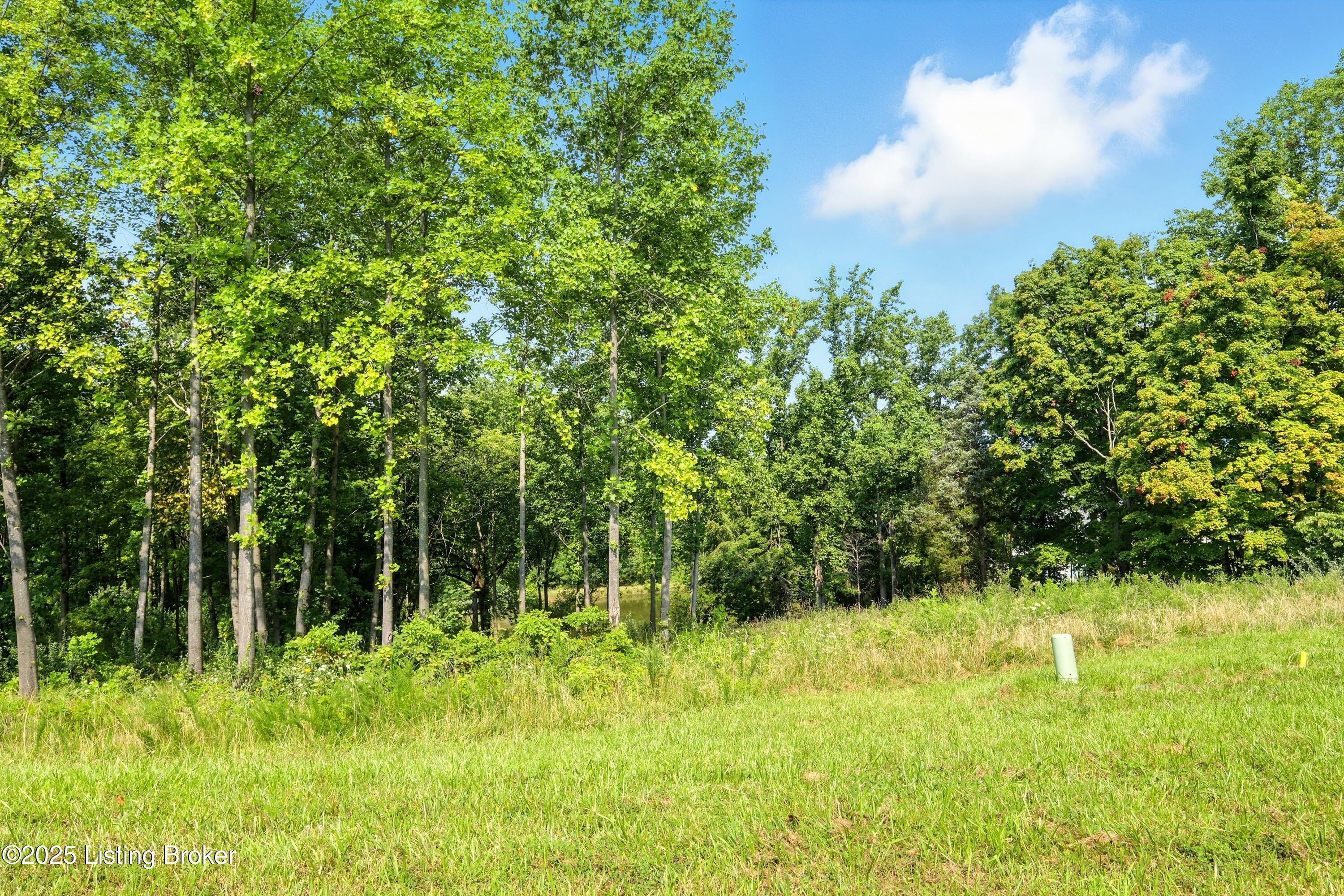 5502 Farmhouse Dr Property Photo 3