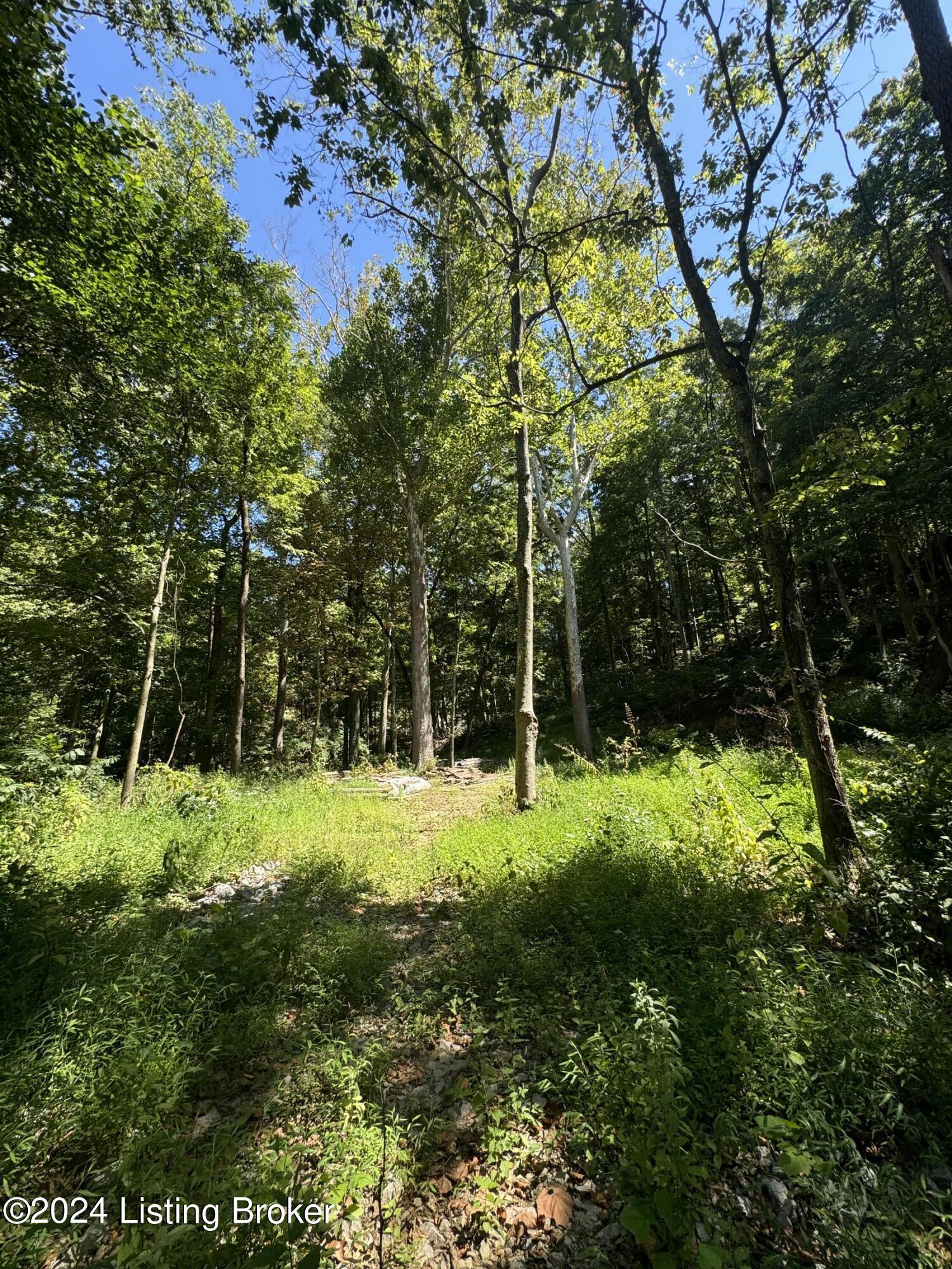 Lot 13 Rose Island Rd Property Photo