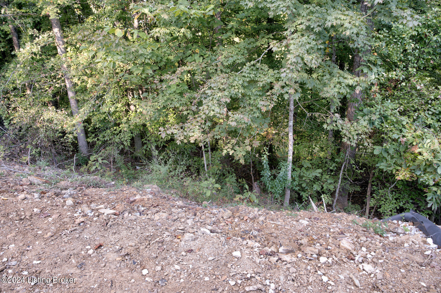 576 Pine Grove Rd Property Photo 69