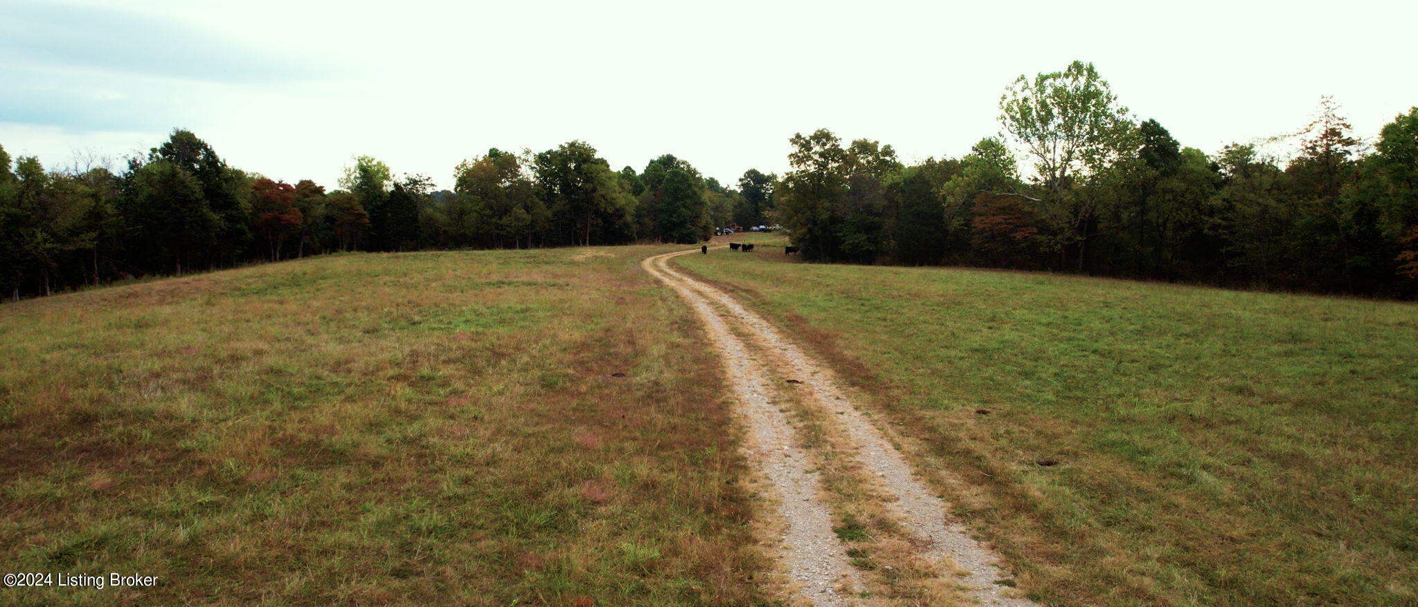 0 W 42 Hwy Property Photo 3