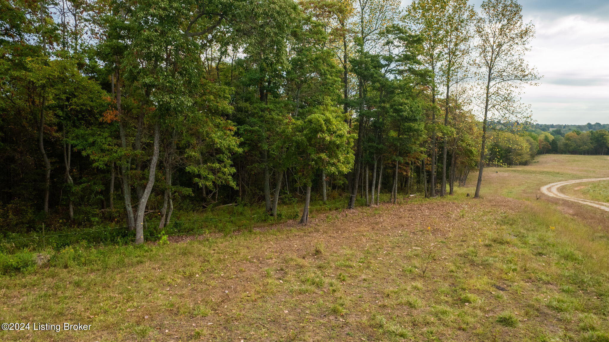 0 W 42 Hwy Property Photo 5