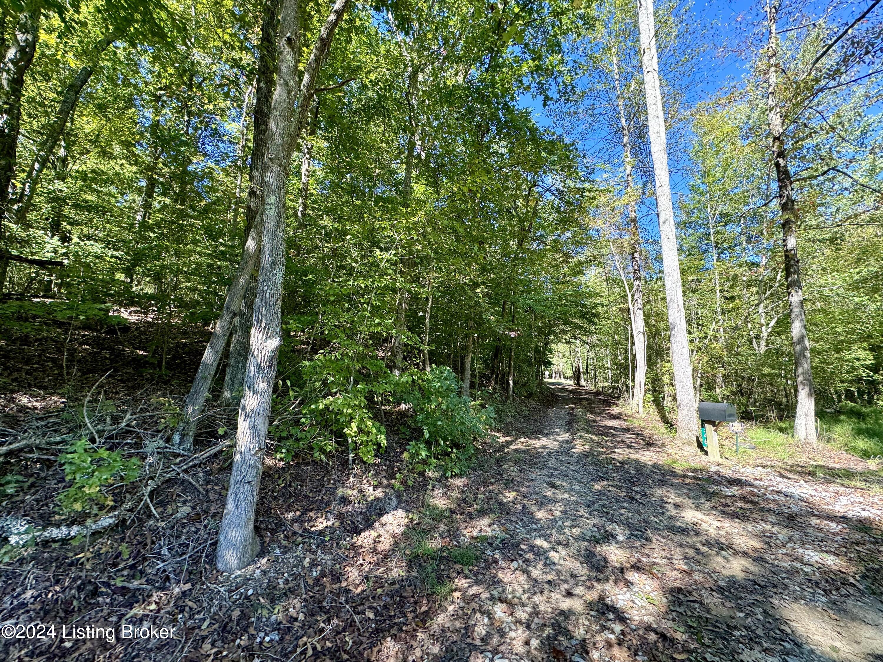 2346 Sulphur Lick Rd Property Photo 1