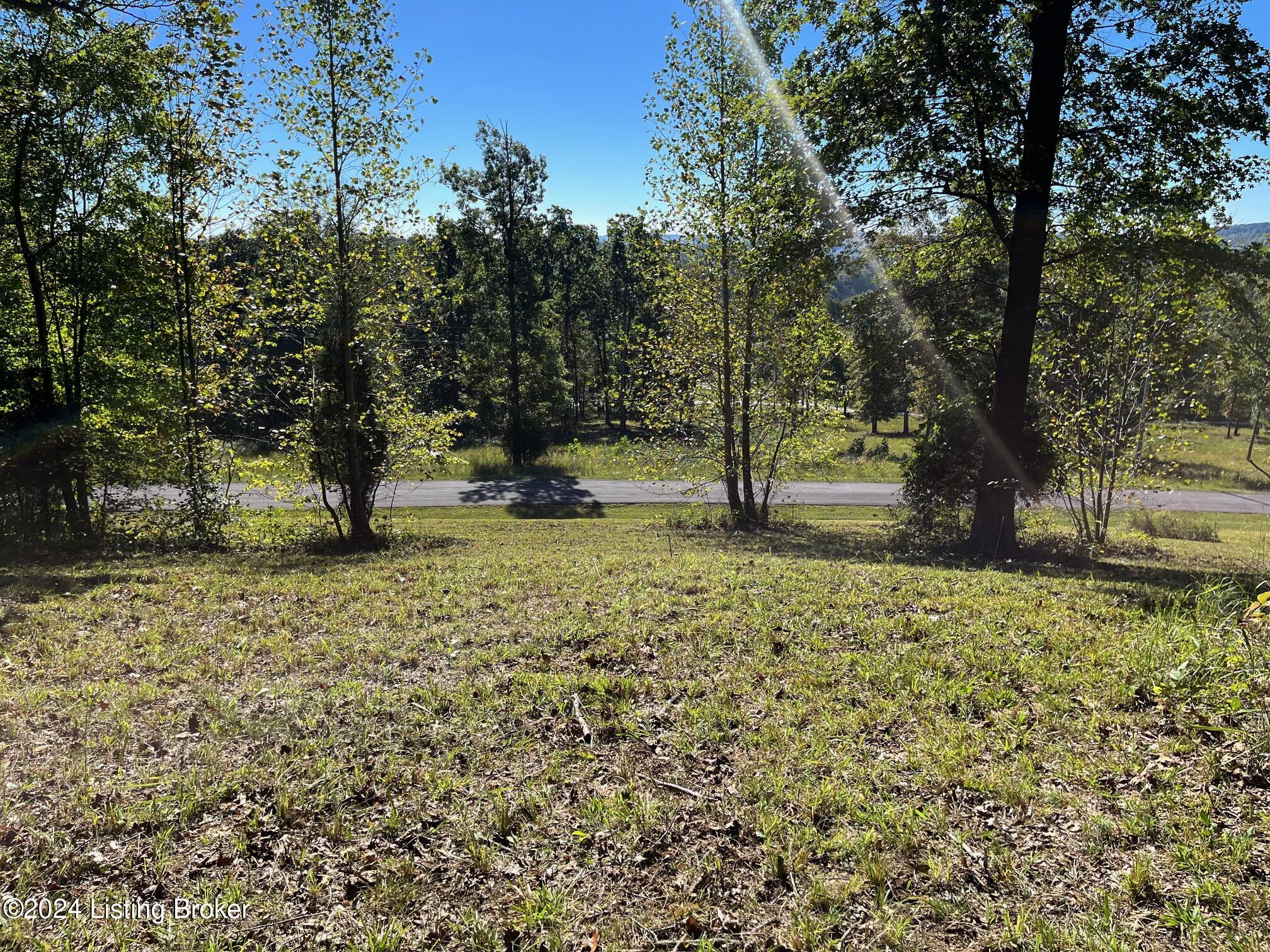 59 Patriot Heights Ln Property Photo 5