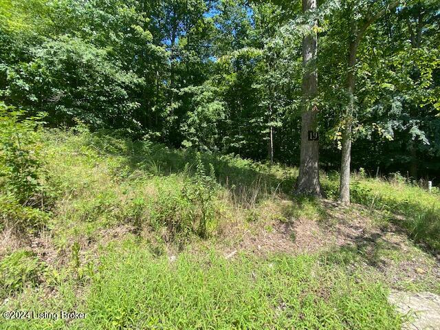 19 White Oak Ln Property Photo 1