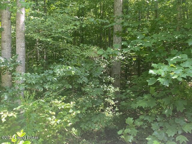 20 White Oak Ln Property Photo 1