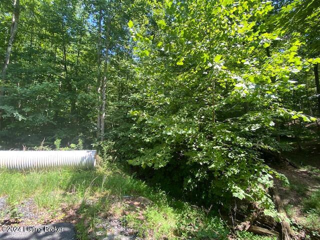 20 White Oak Ln Property Photo 2
