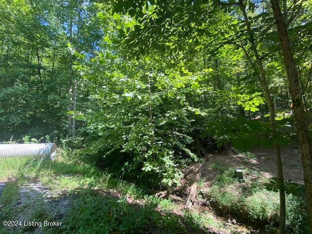 20 White Oak Ln Property Photo 3