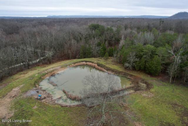 192 Pitts Point Road Property Photo 9