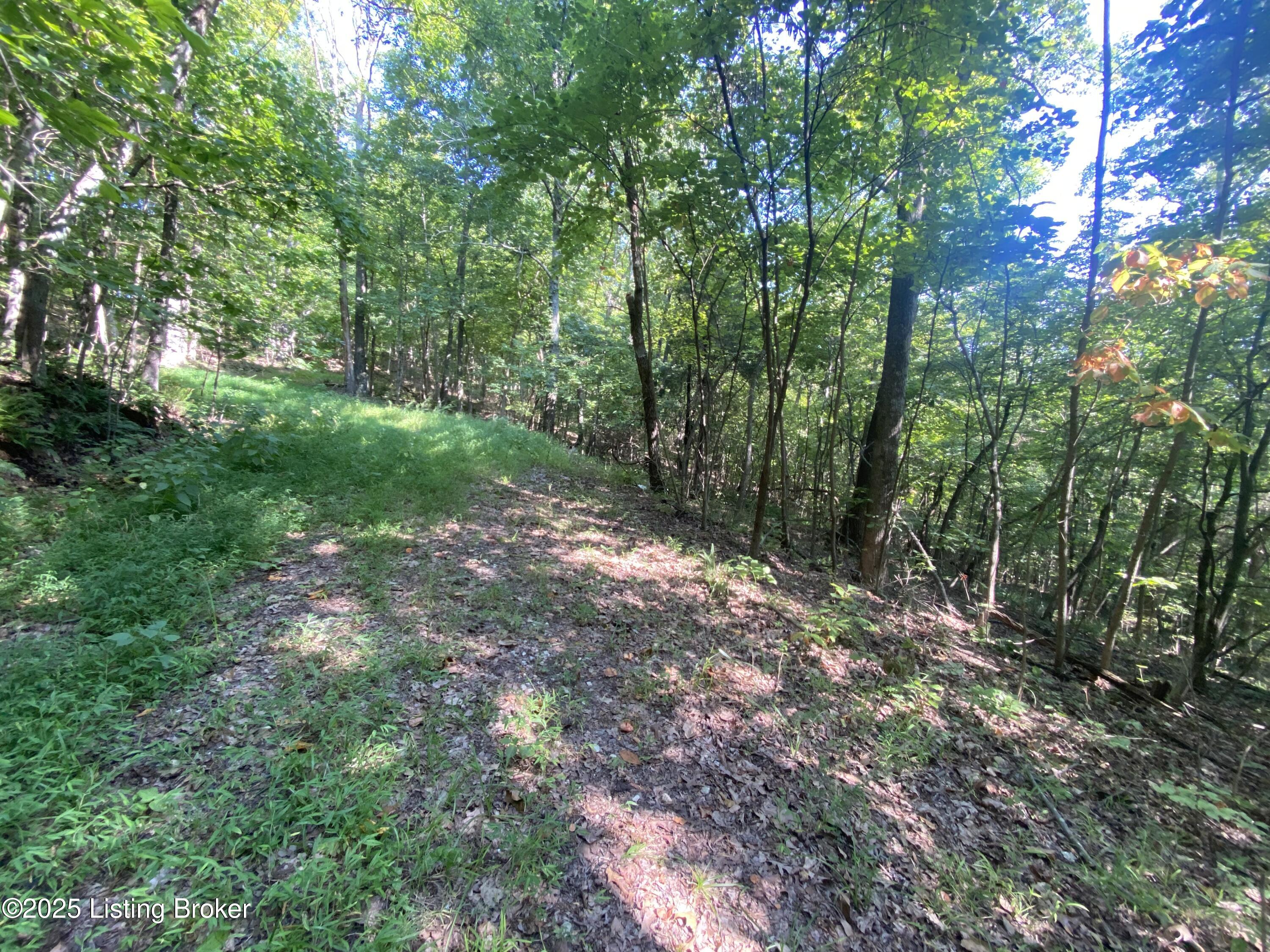 2376 Hwy 86 Property Photo
