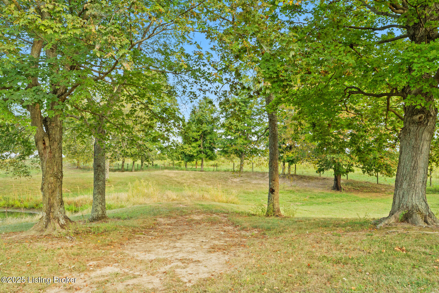 5976 Eminence Pike Property Photo 24