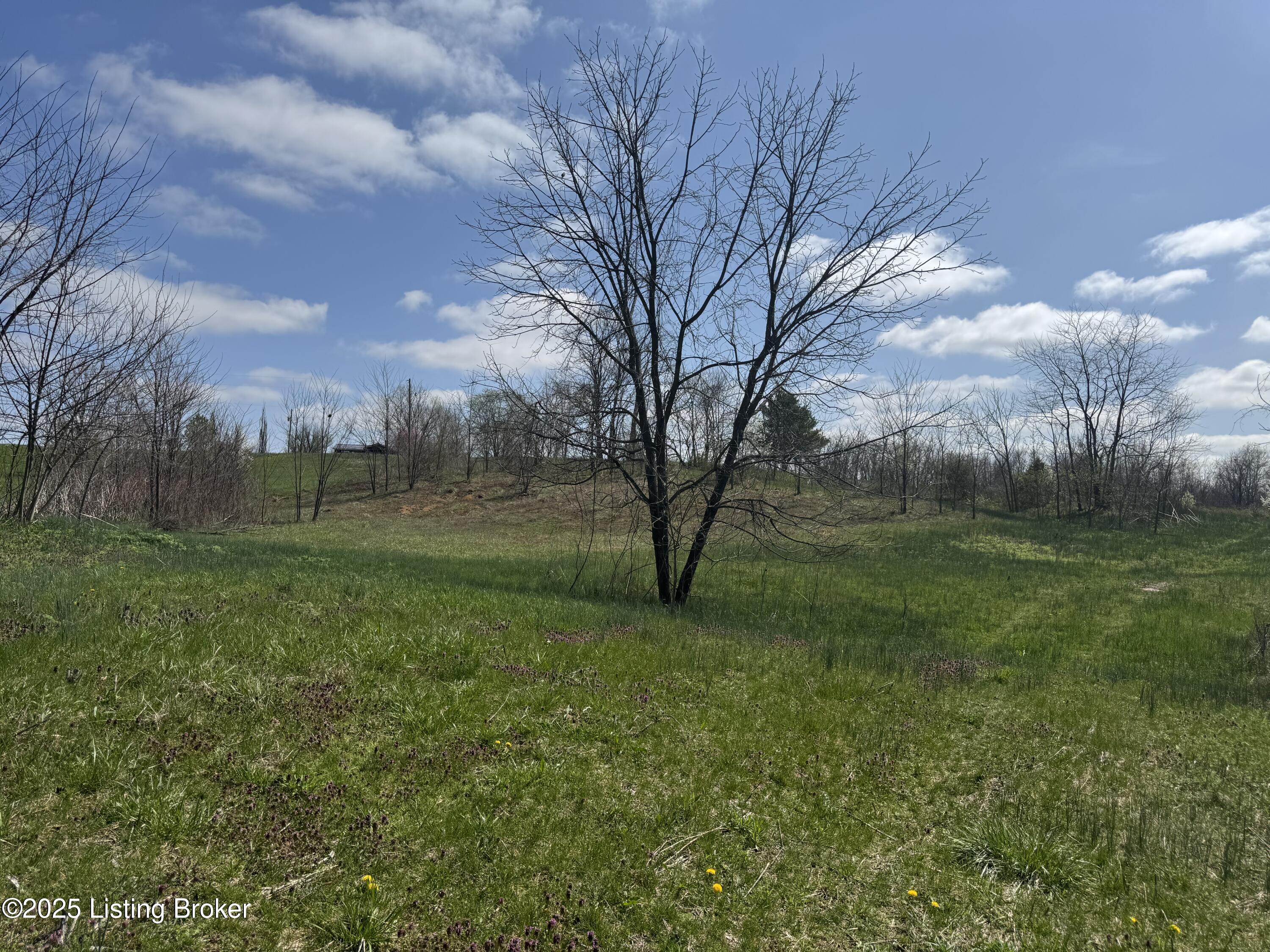 0 Sharon Rd Property Photo 7