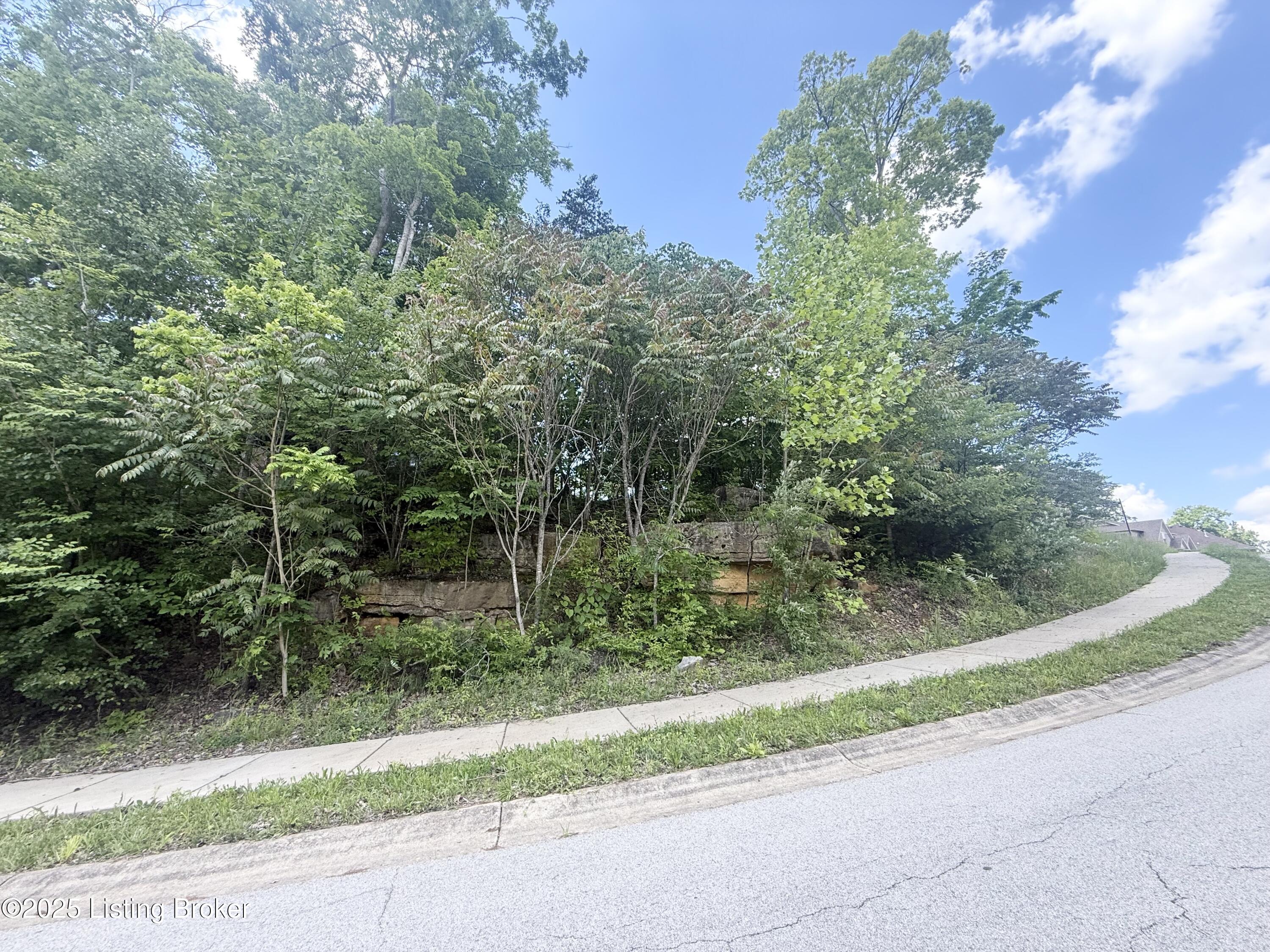 0 - Lot 60 Bluffs Edge Dr Property Photo 8